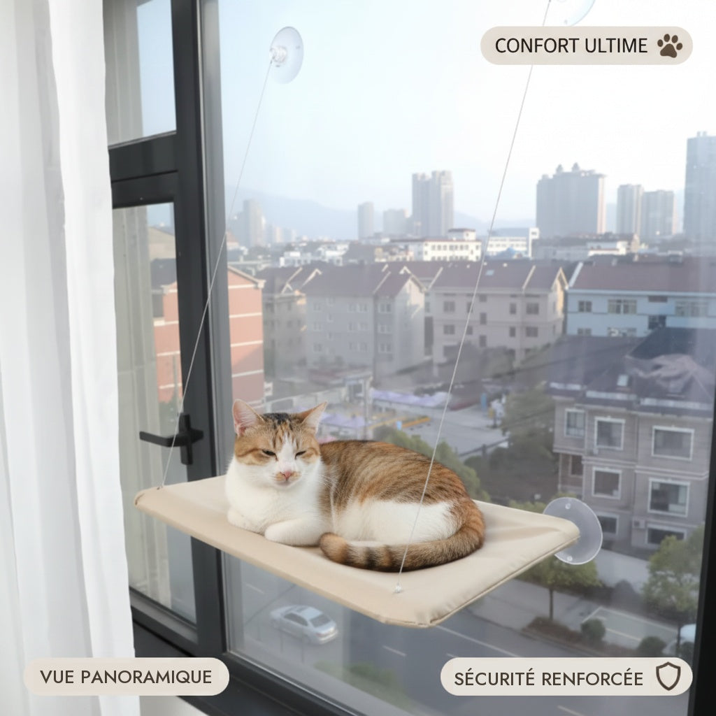 Chat allongé sur le hamac de fenêtre, vue panoramique