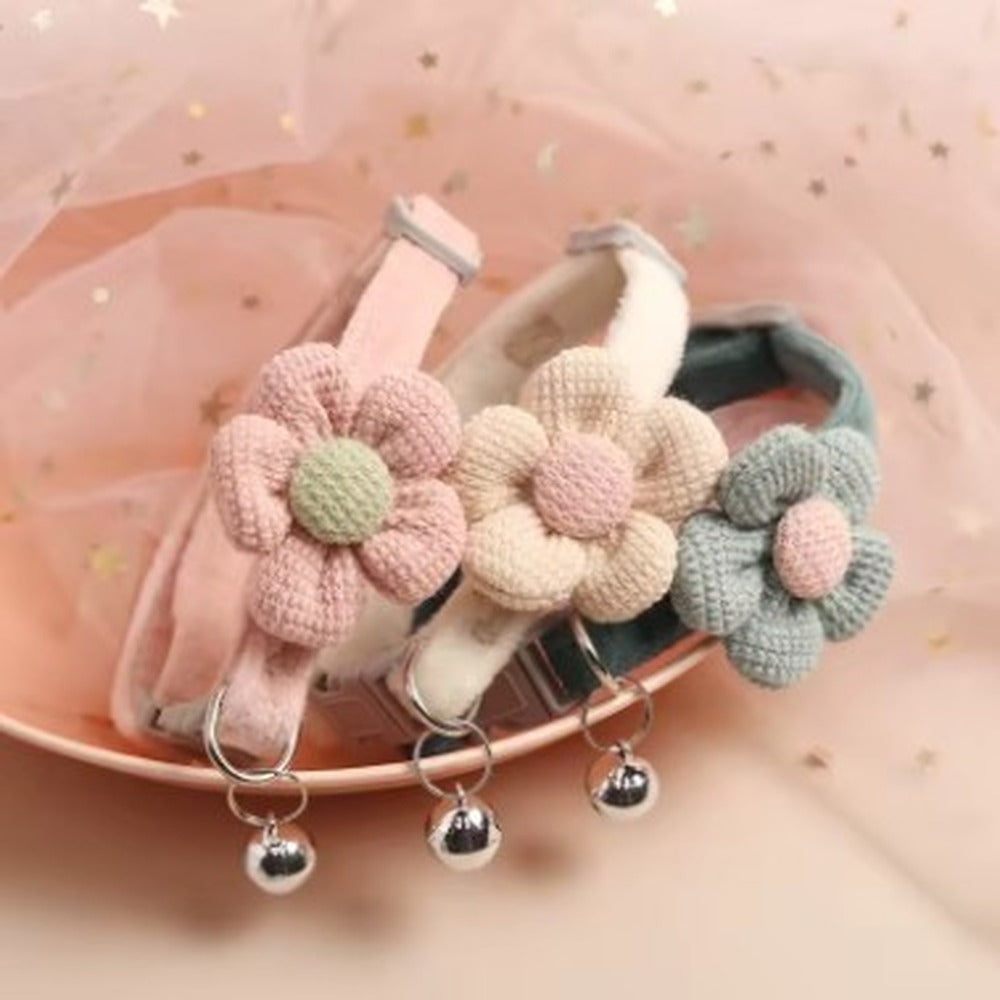 Colliers pour chat avec fleur présentés ensemble