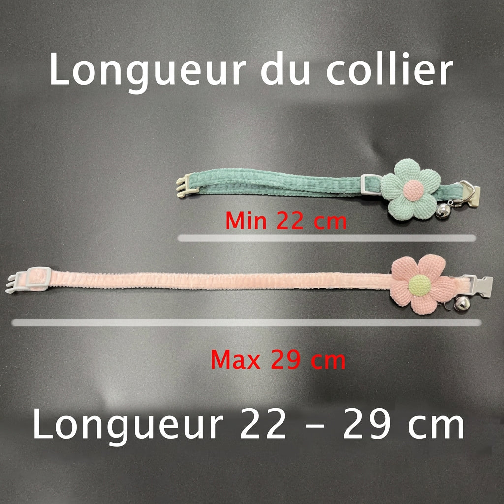 Longueur du collier pour chat réglable de 22 à 29 cm