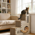 Grattoir escalier en carton ondulé pour chat dans un salon lumineux