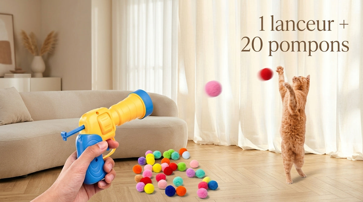 Jouet Lanceur de Balles Pompons pour Chat – 1 Lanceur + 20 Pompons | CatsLova
